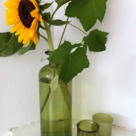 Apartment Havenstraat *