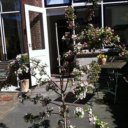 Havenstraat *