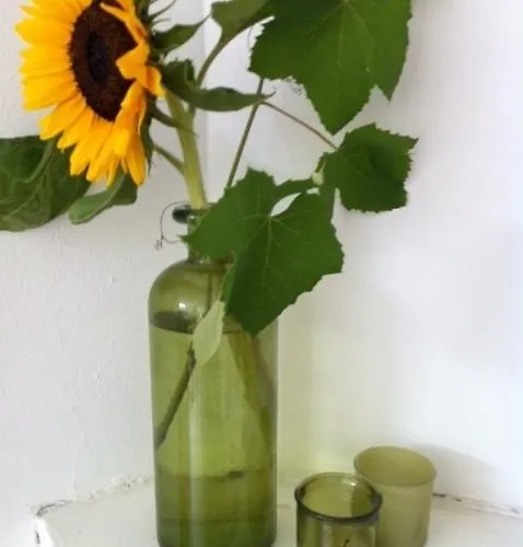 Appartement Havenstraat *