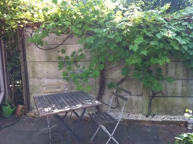 Havenstraat * دلفت