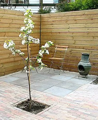 Havenstraat Apartament Delft